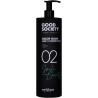 Artego Good Society Color Glow Conditioner 02 odżywka do włosów farbowanych 1000 ml