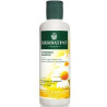 Herbatint Chamomile Shampoo 260ml