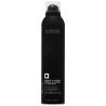 Alter Ego Hasty Too - spray termoochronny do włosów, 300ml