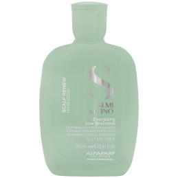 Alfaparf Eneregizing, Szampon przeciw wypadaniu włosów 250 ml