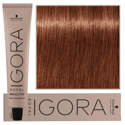 Schwarzkopf Professional Igora Royal Absolutes - trwała farba do włosów z kolagenem, 60ml