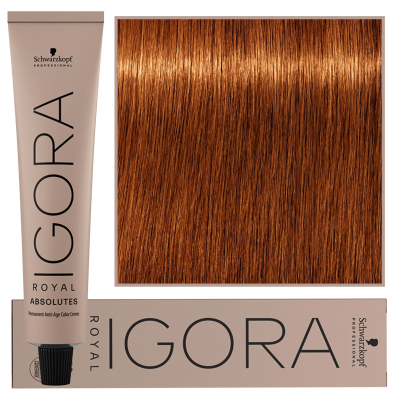 Schwarzkopf Professional Igora Royal Absolutes - trwała farba do włosów z kolagenem, 60ml