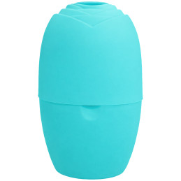 DeniCarte masażer lodowy do twarzy – efektywny masaż, odprężenie skóry