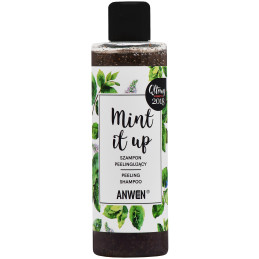 Anwen Mint It Up orzeźwiający szampon z peelingiem 200 ml