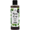 Anwen Mint It Up orzeźwiający szampon z peelingiem 200 ml